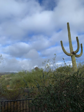 Dec 23 - Low clouds and a bit of rain.